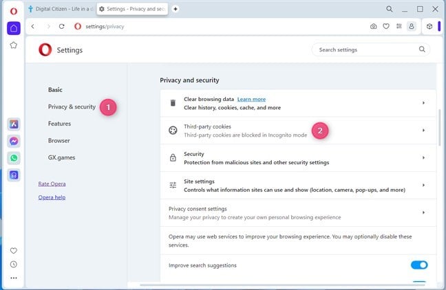 Go to Privacy & security > Third-party cookies