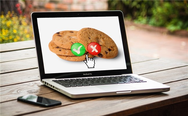 Browser cookies: What are they?