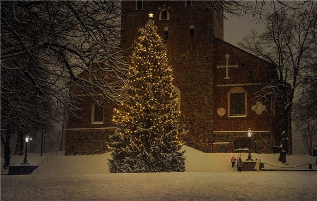 Christmas Tree Holiday Season