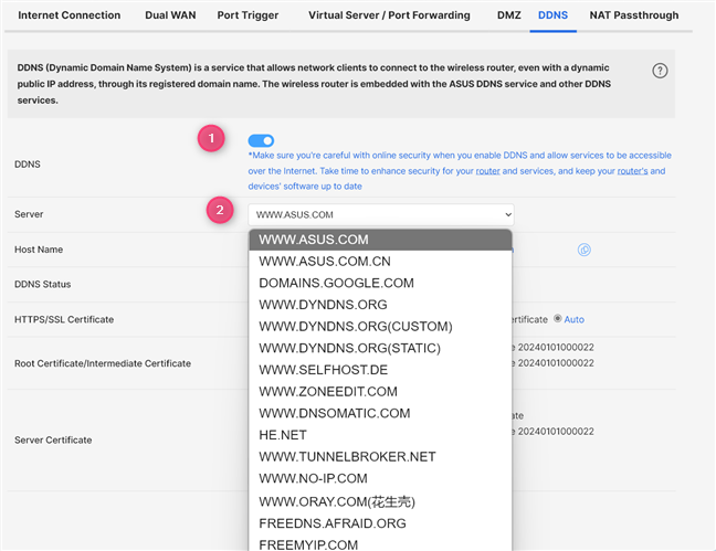 Enable DDNS and choose the service you want