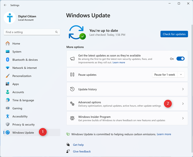 In Windows 11 Settings, go to Windows Update > Advanced options