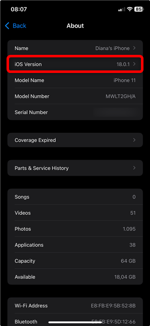 How to find the iOS version in the Settings app