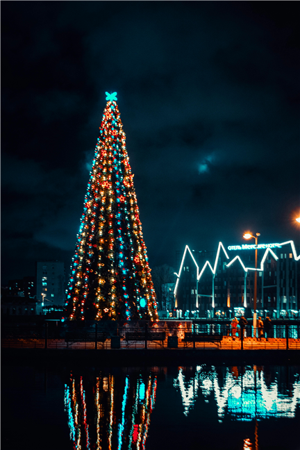 Christmas Tree Near Body Of Water by Artem Saranin