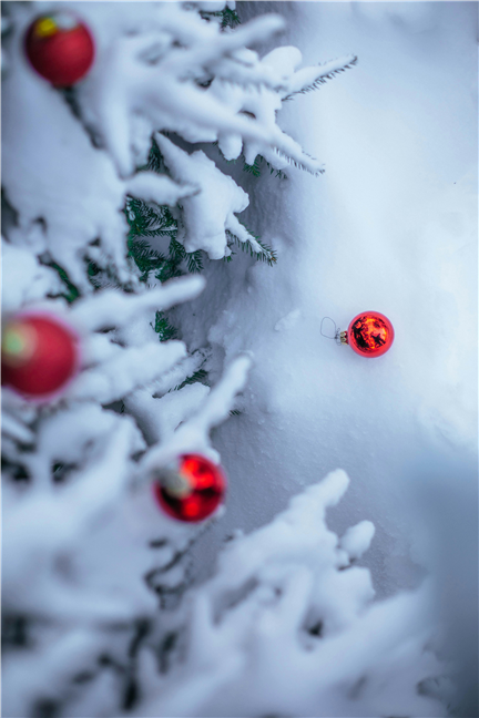 Trees in Snow with Christmas Ornaments by Valeria Boltneva