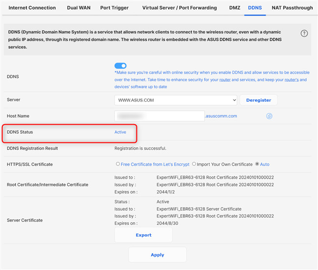 Enable DDNS and check whether it works