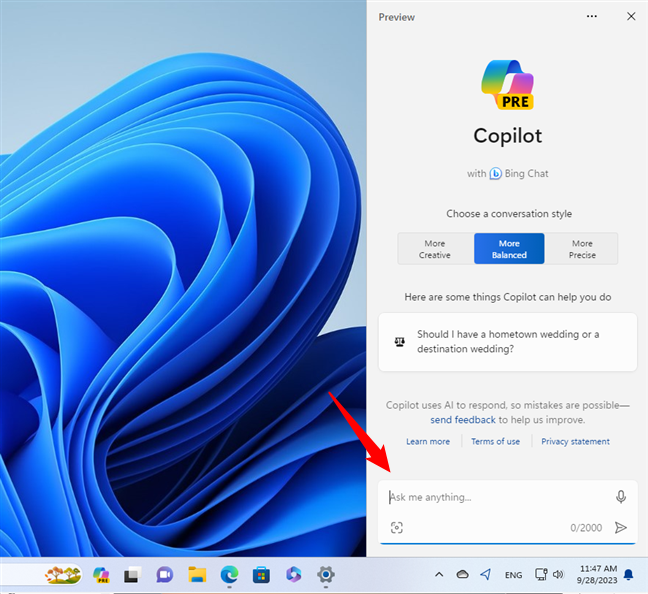 The chat area in Windows Copilot