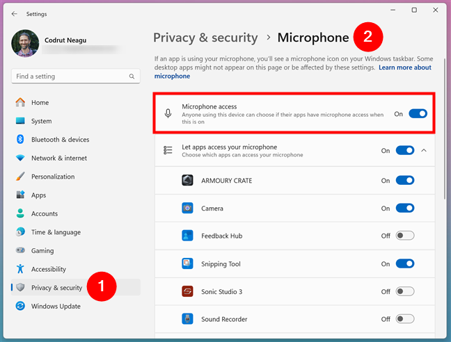 If your microphone isn't working, enable the Microphone access switch