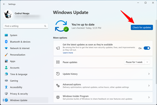 Check for updates in Windows 11