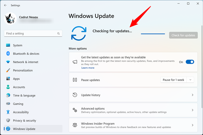 Windows 11 is Checking for updates