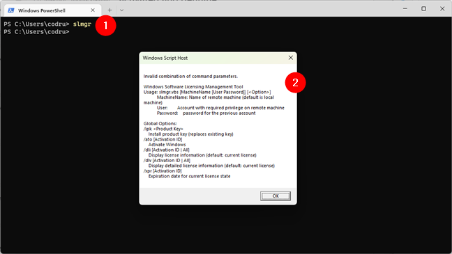 The slmgr command in Windows Terminal